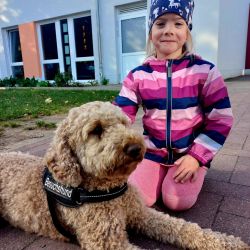 Ein Hund der auf dem Boden Liegt, daneben sitzt ein Mädchen auf den Knien neben dem Hund.